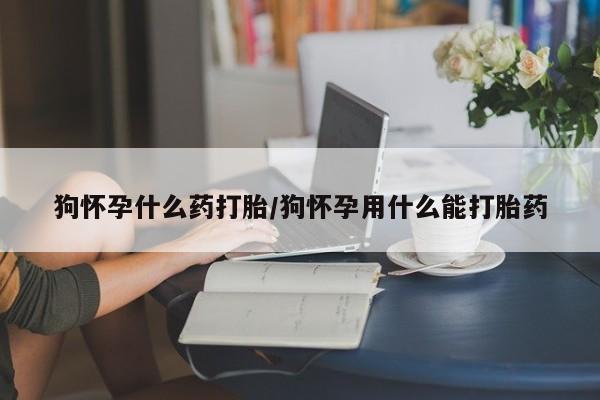 正品打胎药在线购买微信狗怀孕什么药打胎/狗怀孕用什么能打胎药